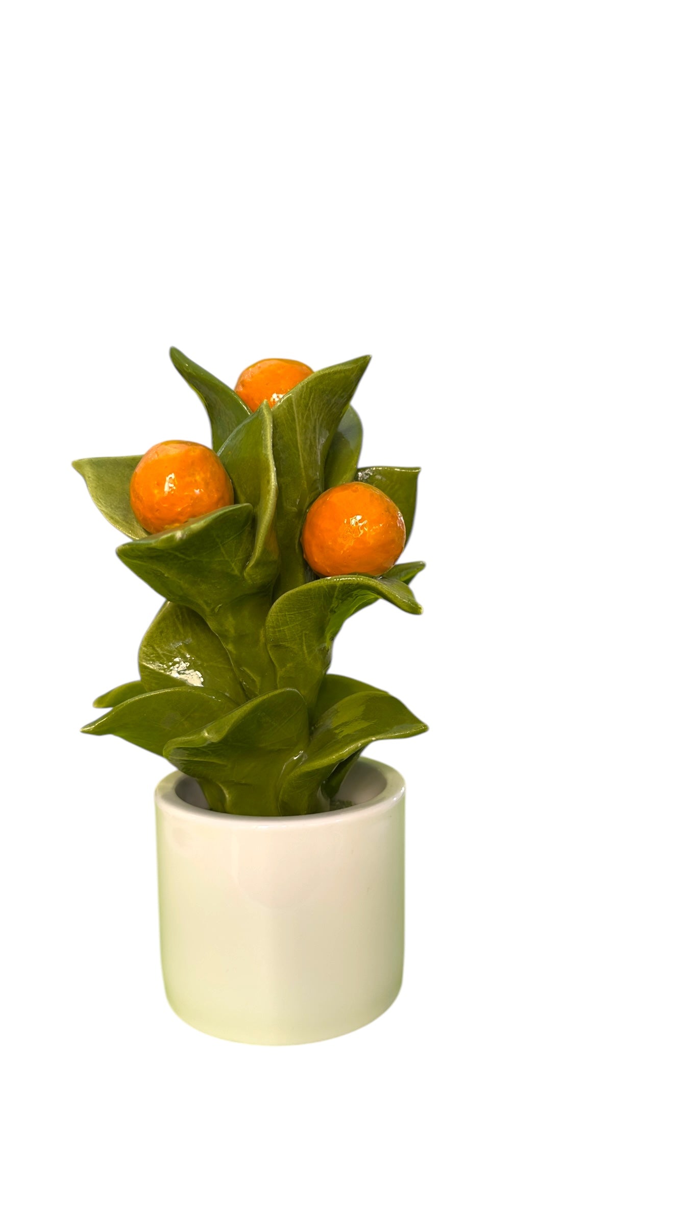 Pianta Arance - Gli Alberelli Capodimonte Made in Italy