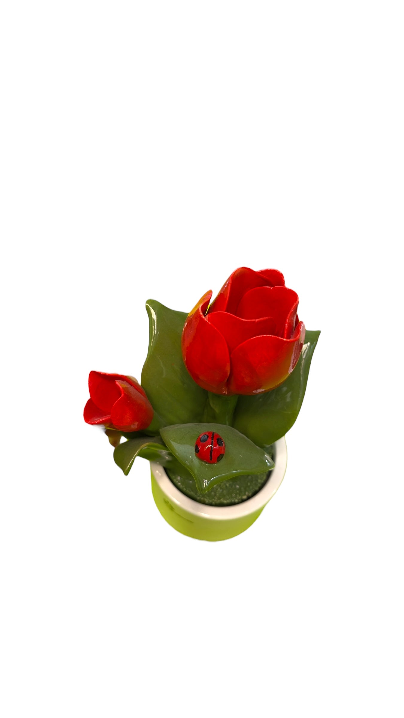 Pianta fiori rossi - Gli Alberelli Capodimonte Made in Italy