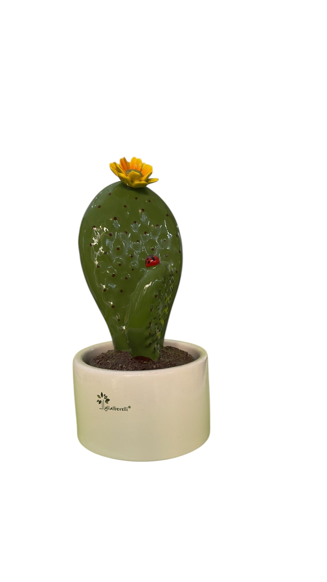Cactus grande fiore giallo - Gli Alberelli Capodimonte Made in Italy