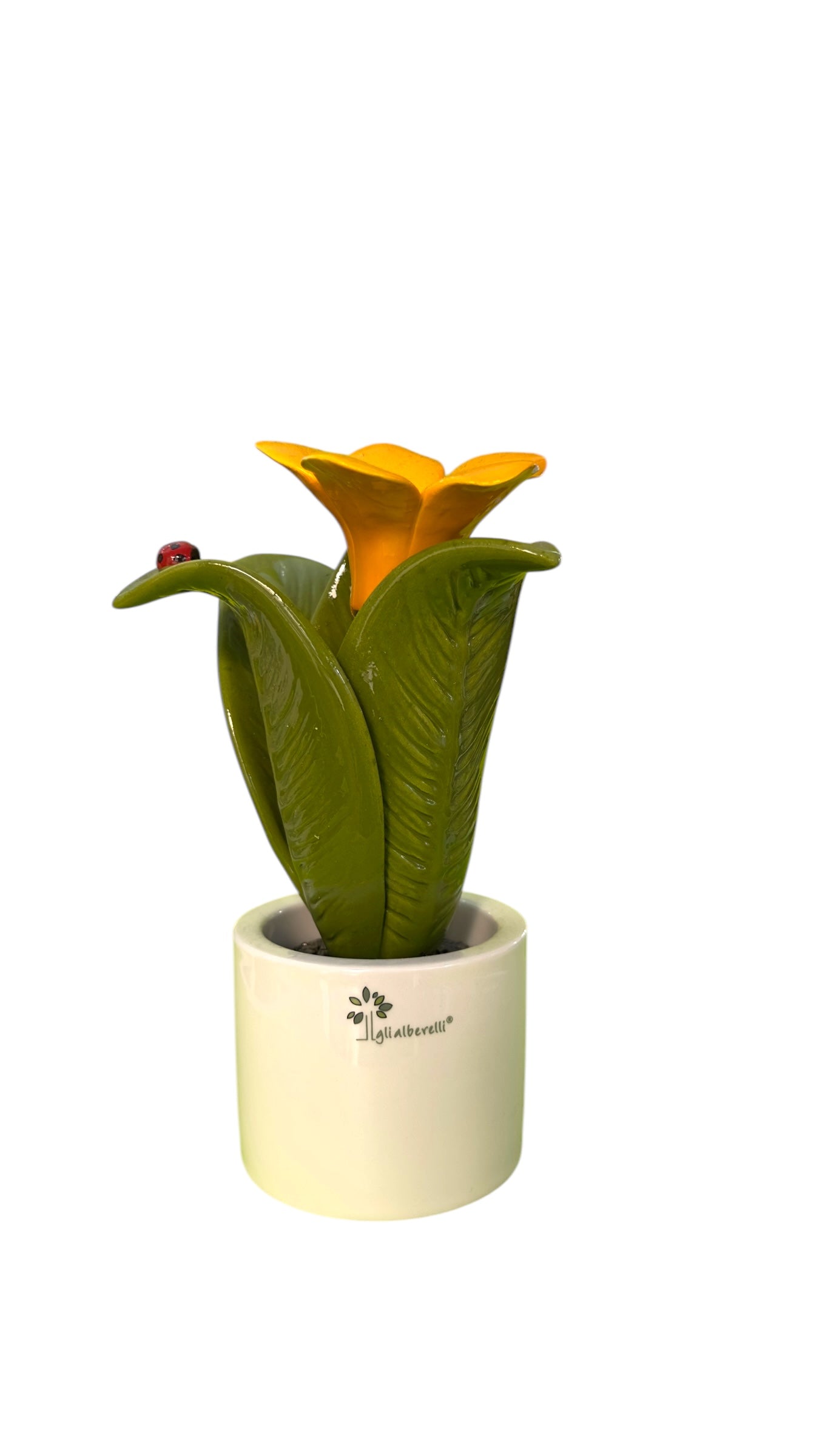 Pianta fiore arancio - Gli Alberelli Capodimonte Made in Italy