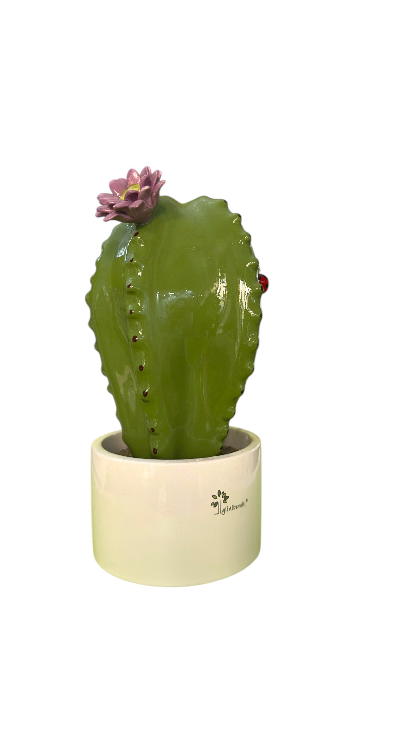 Cactus grande fiore lilla - Gli Alberelli Capodimonte Made in Italy