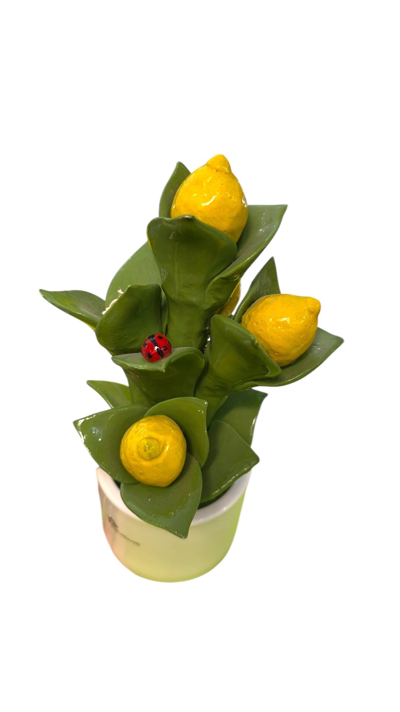 Pianta Limoni - Gli Alberelli Capodimonte Made in Italy