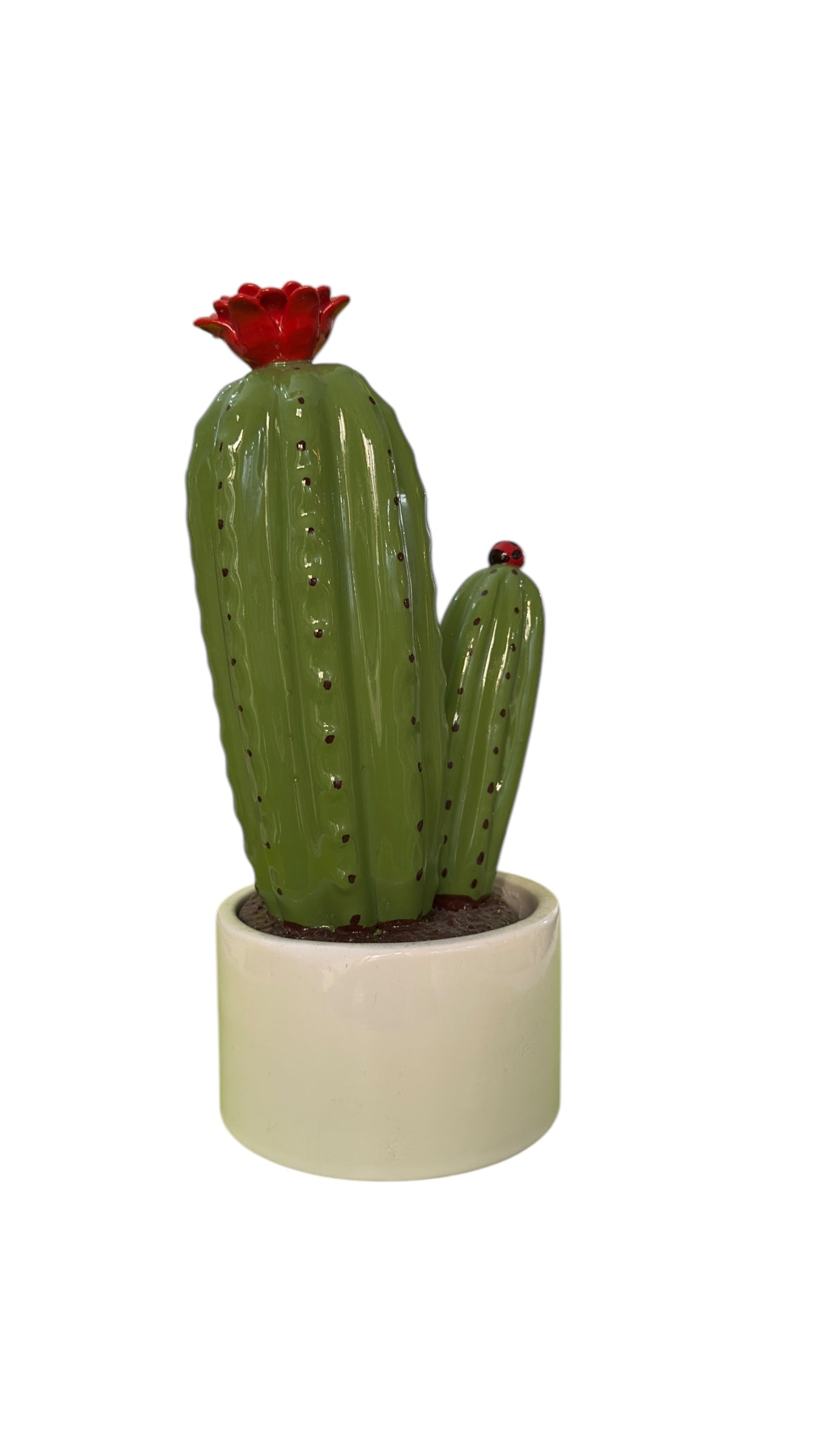 Cactus grande fiori rossi - Gli Alberelli Capodimonte Made in Italy