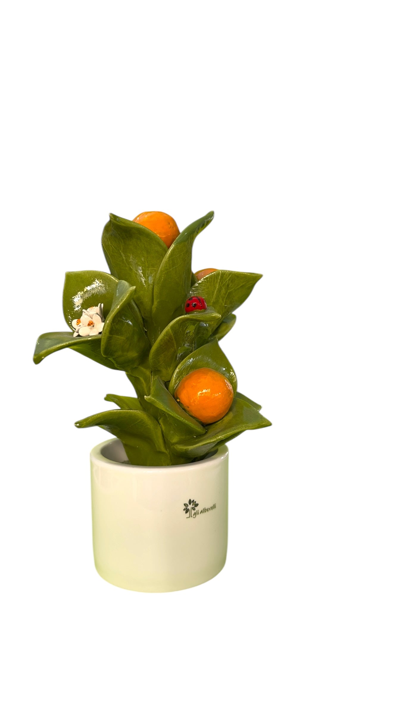 Pianta Arance - Gli Alberelli Capodimonte Made in Italy