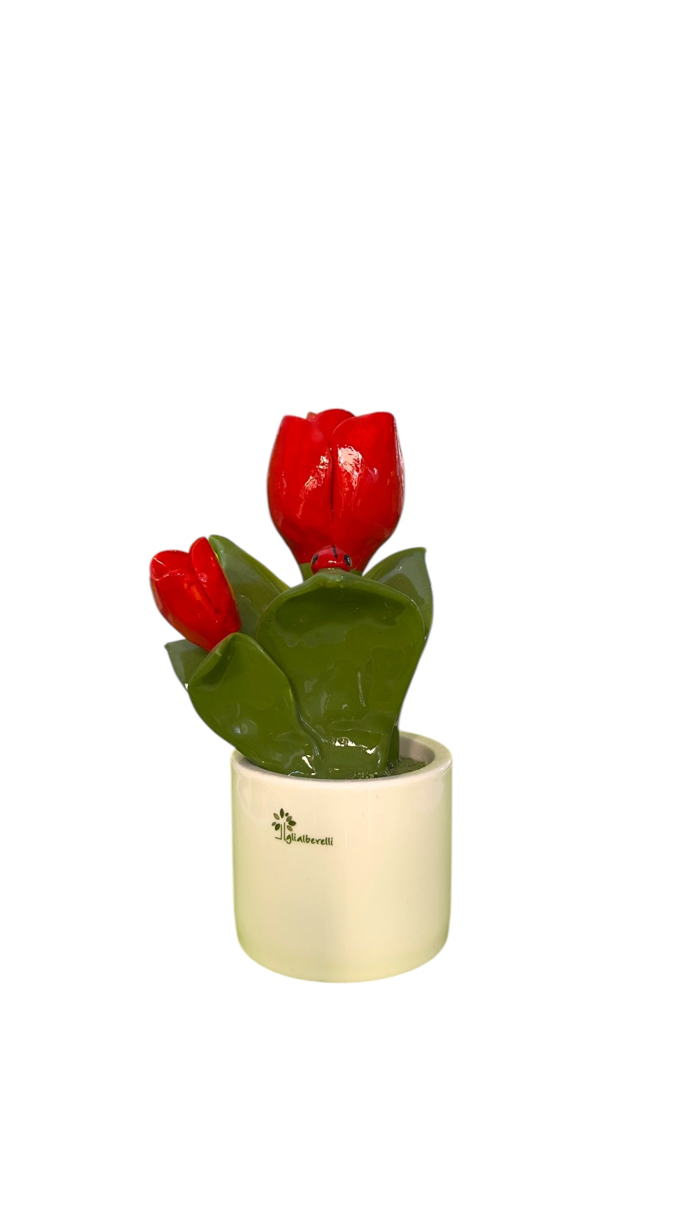 Pianta fiori rossi - Gli Alberelli Capodimonte Made in Italy