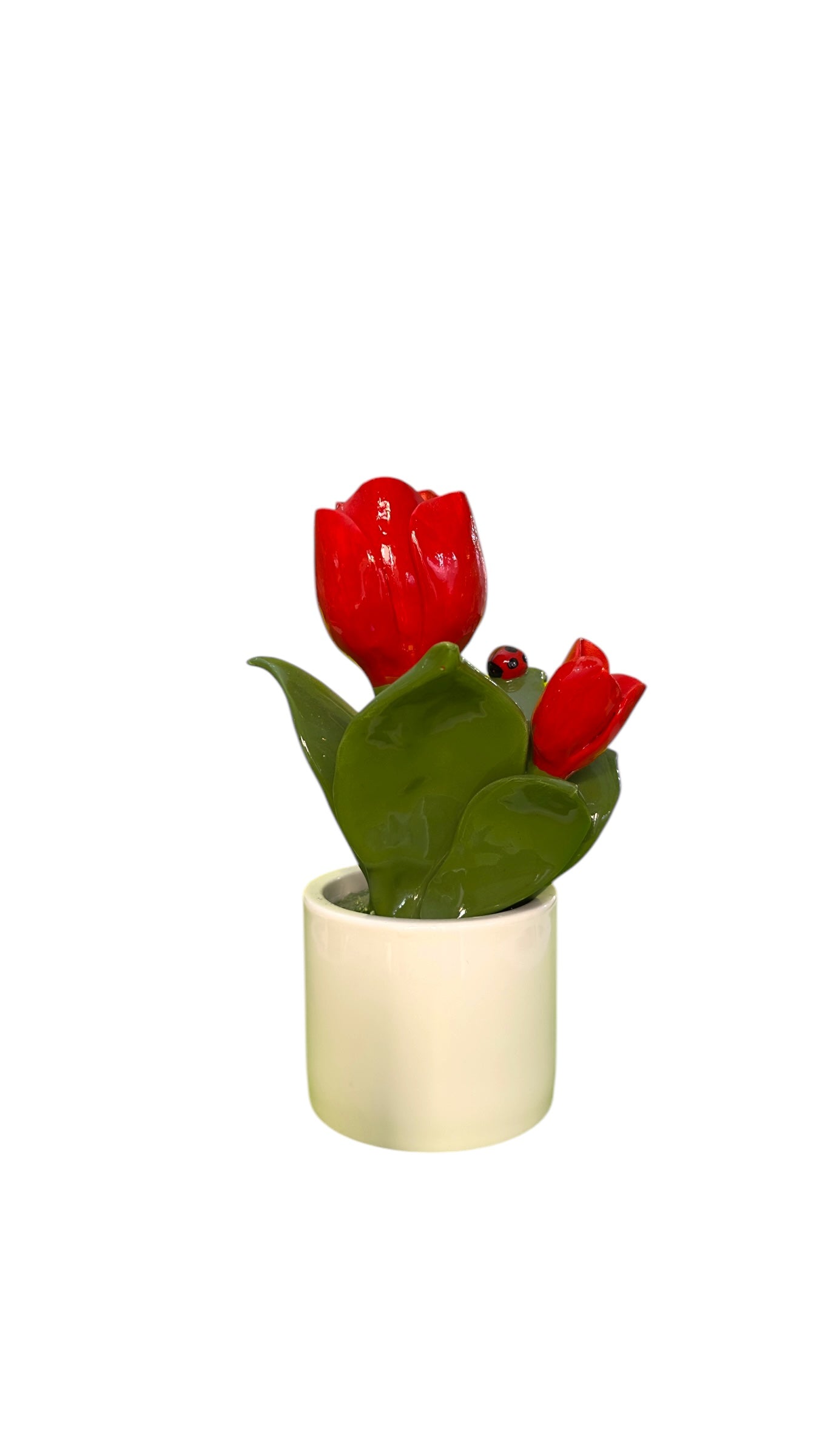 Pianta fiori rossi - Gli Alberelli Capodimonte Made in Italy