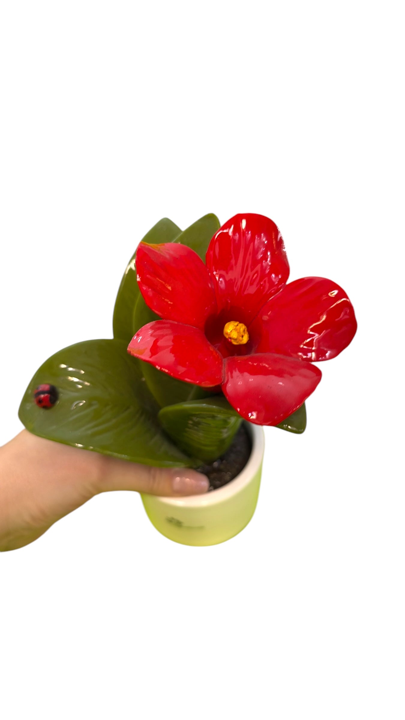 Pianta Fiore rosso grande - Gli Alberelli Capodimonte Made in Italy
