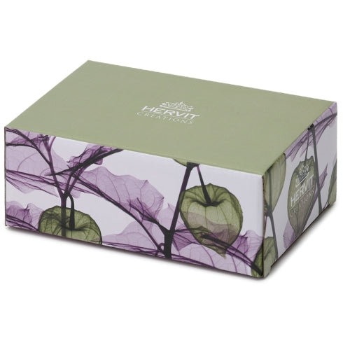 CORNICE VETRO ALKEKENGI VERDE 24X29CM BASE TRASP.F.TO FOTO 12,5X17CM RETRO MDF S.REG.