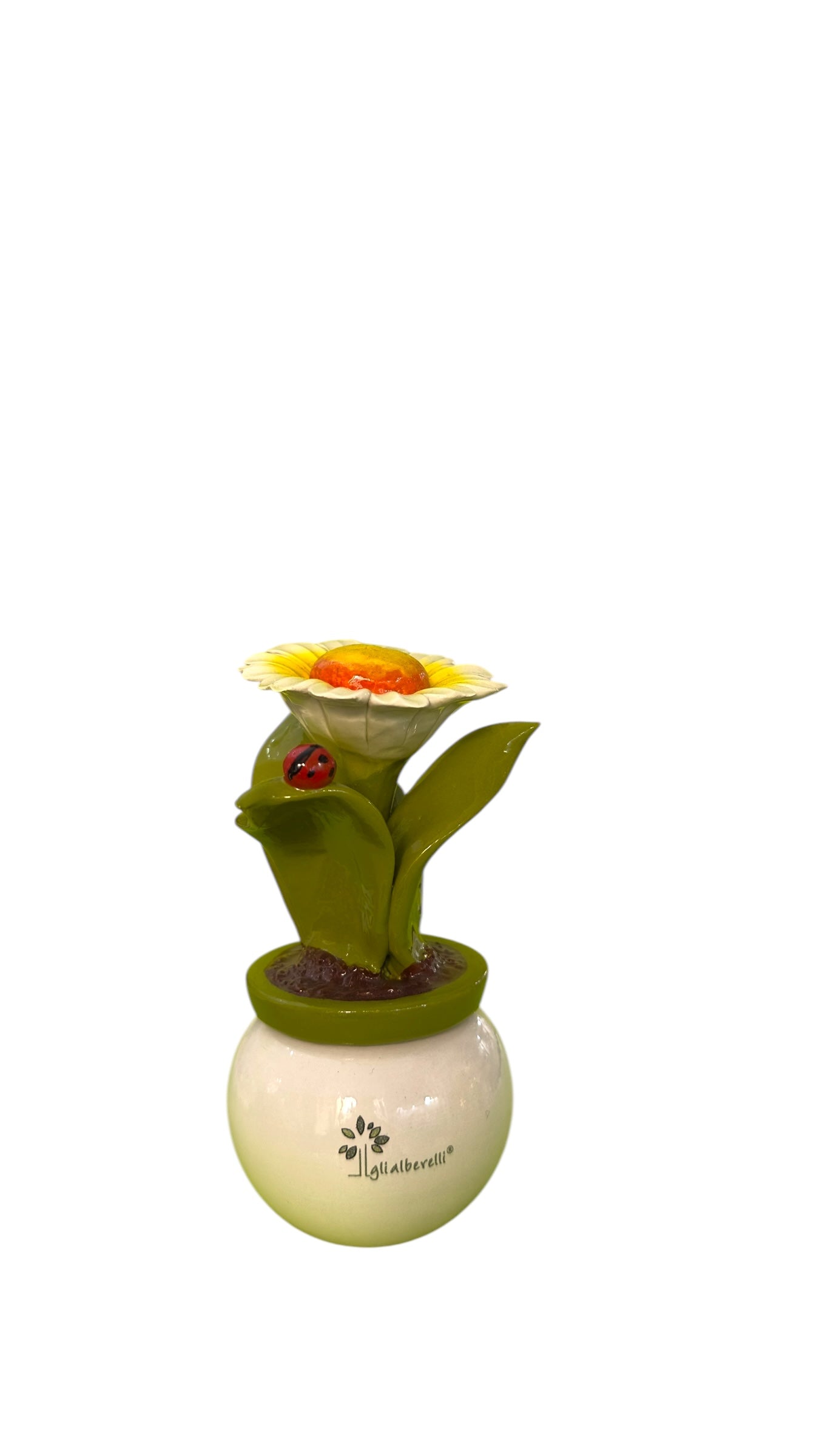 Pianta Margherita - Gli Alberelli Capodimonte Made in Italy