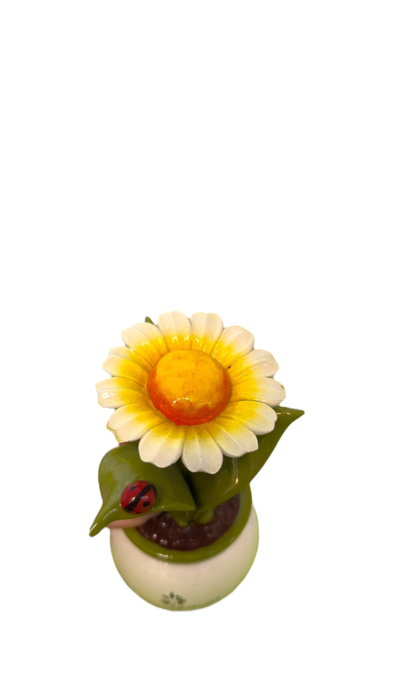Pianta Margherita - Gli Alberelli Capodimonte Made in Italy