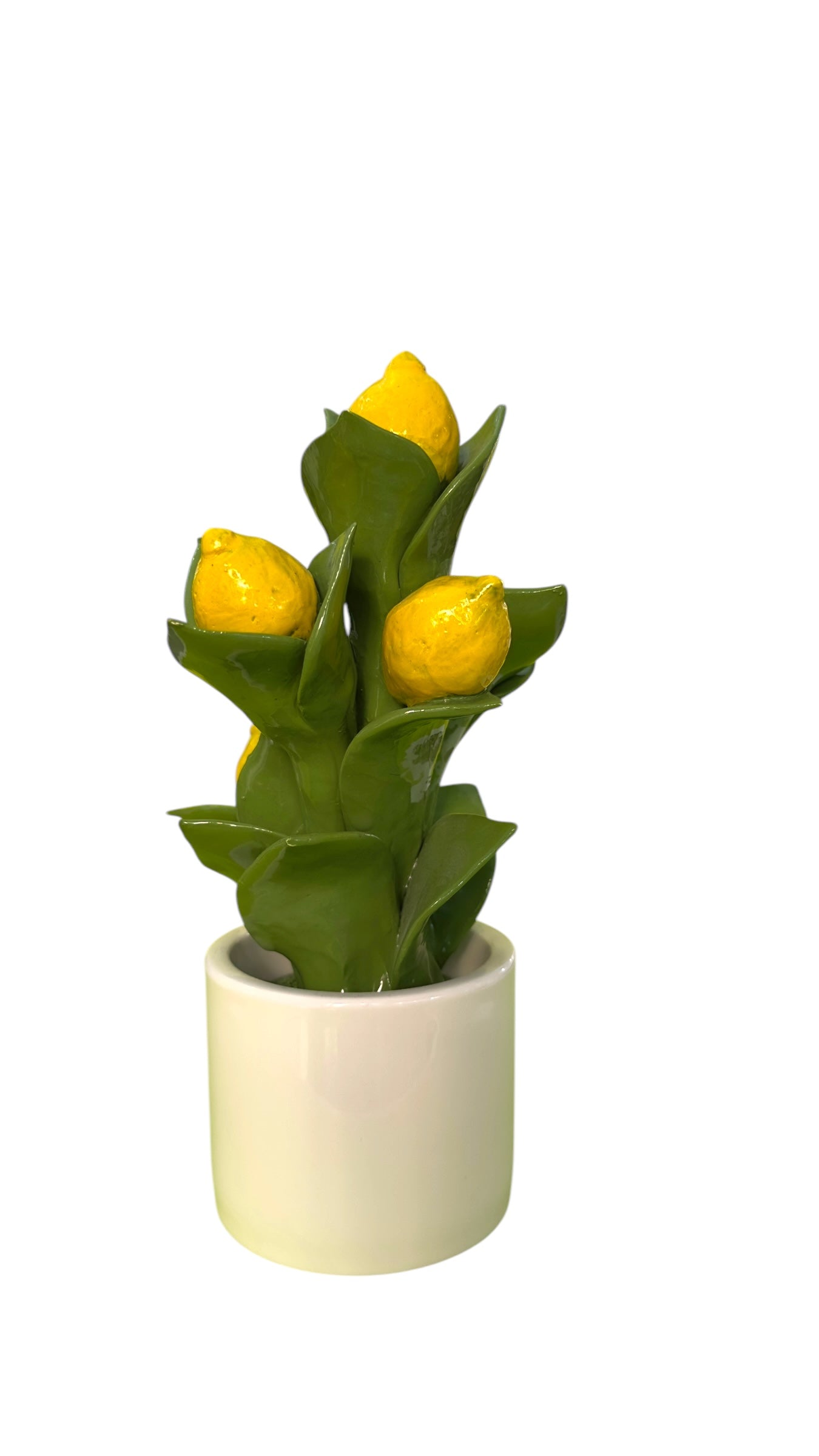 Pianta Limoni - Gli Alberelli Capodimonte Made in Italy