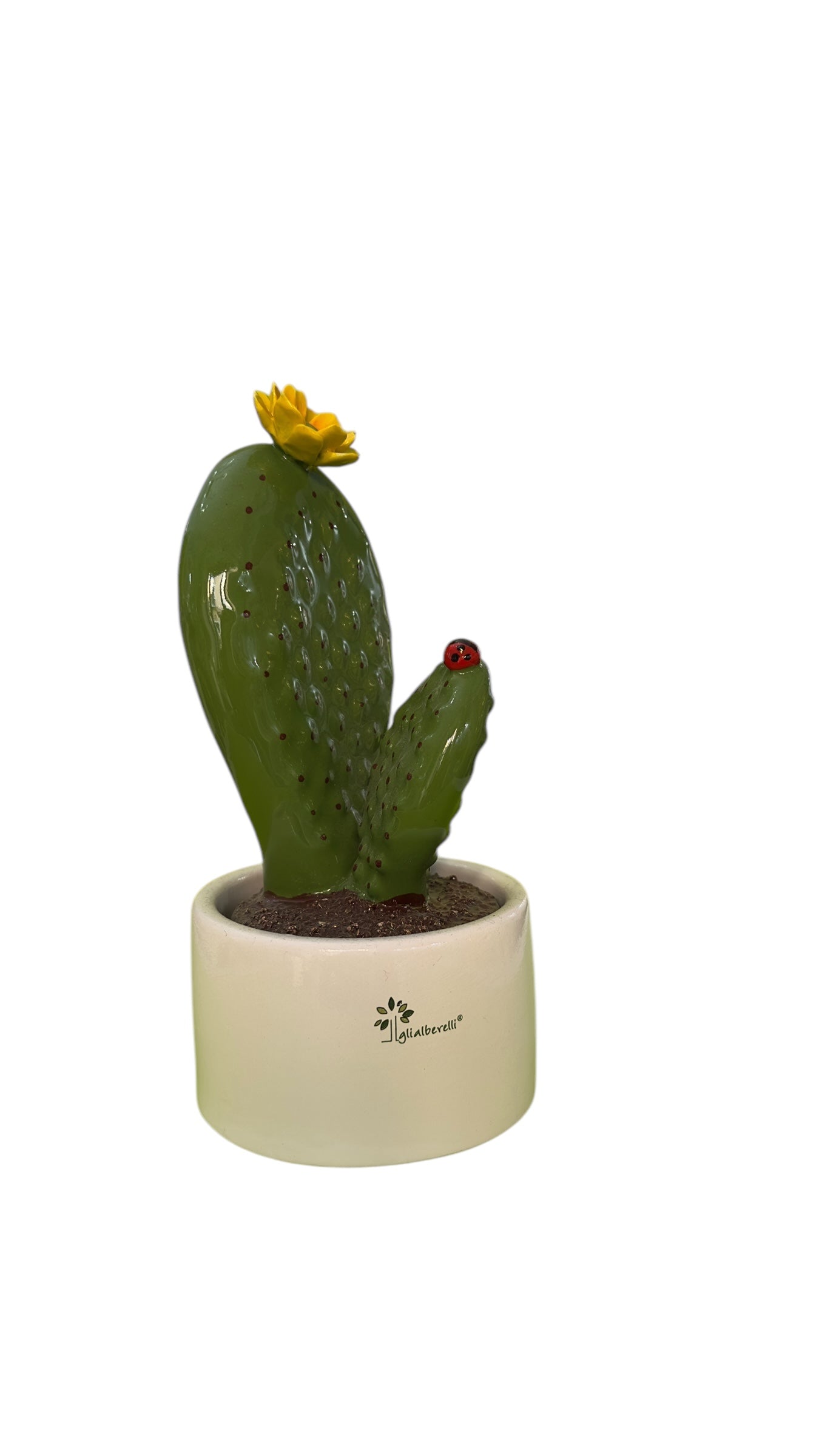 Cactus grande fiore giallo - Gli Alberelli Capodimonte Made in Italy