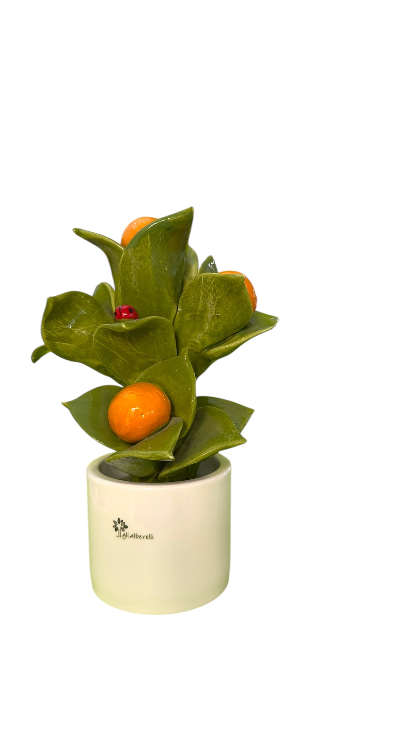 Pianta Arance - Gli Alberelli Capodimonte Made in Italy