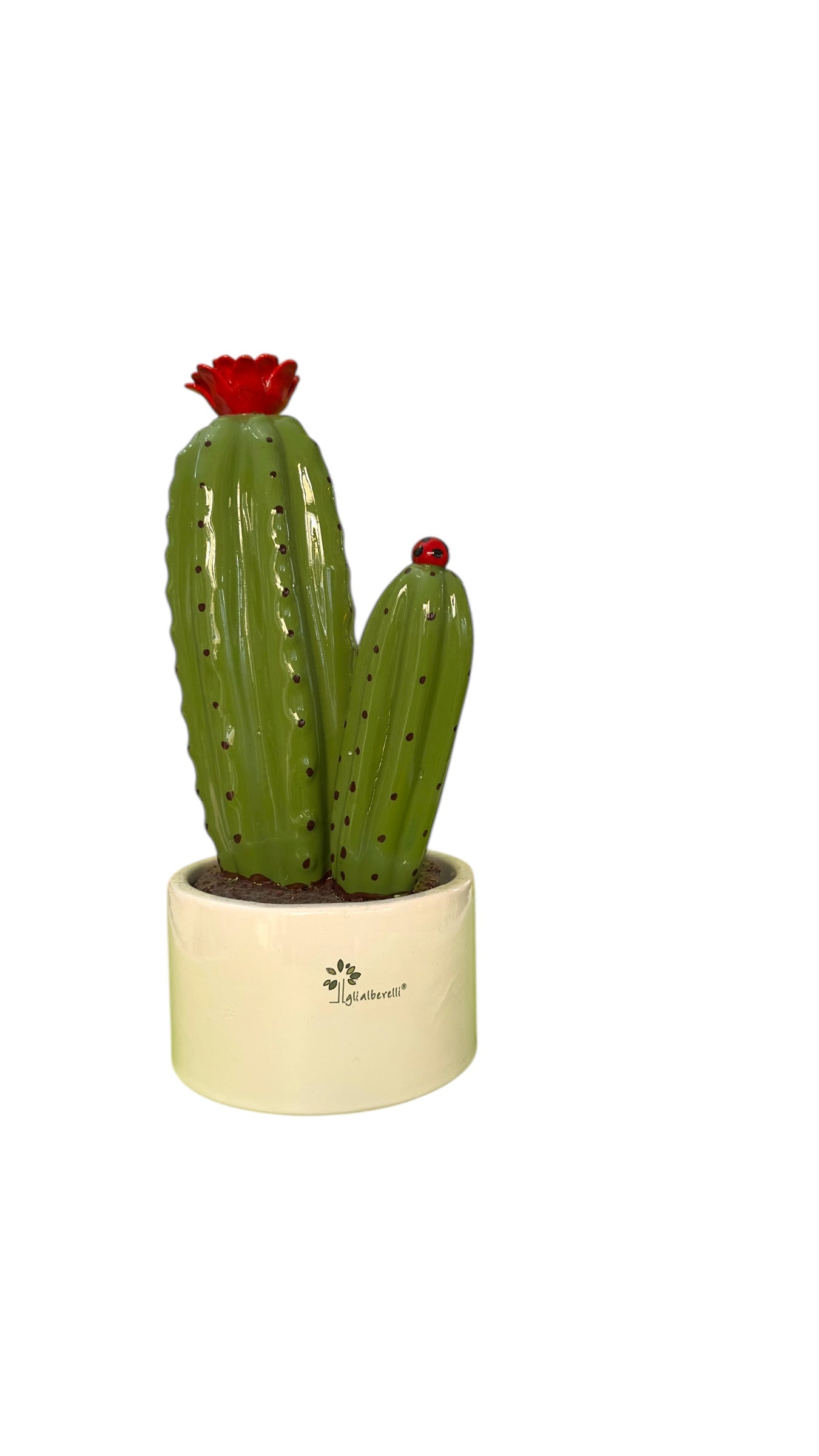 Cactus grande fiori rossi - Gli Alberelli Capodimonte Made in Italy