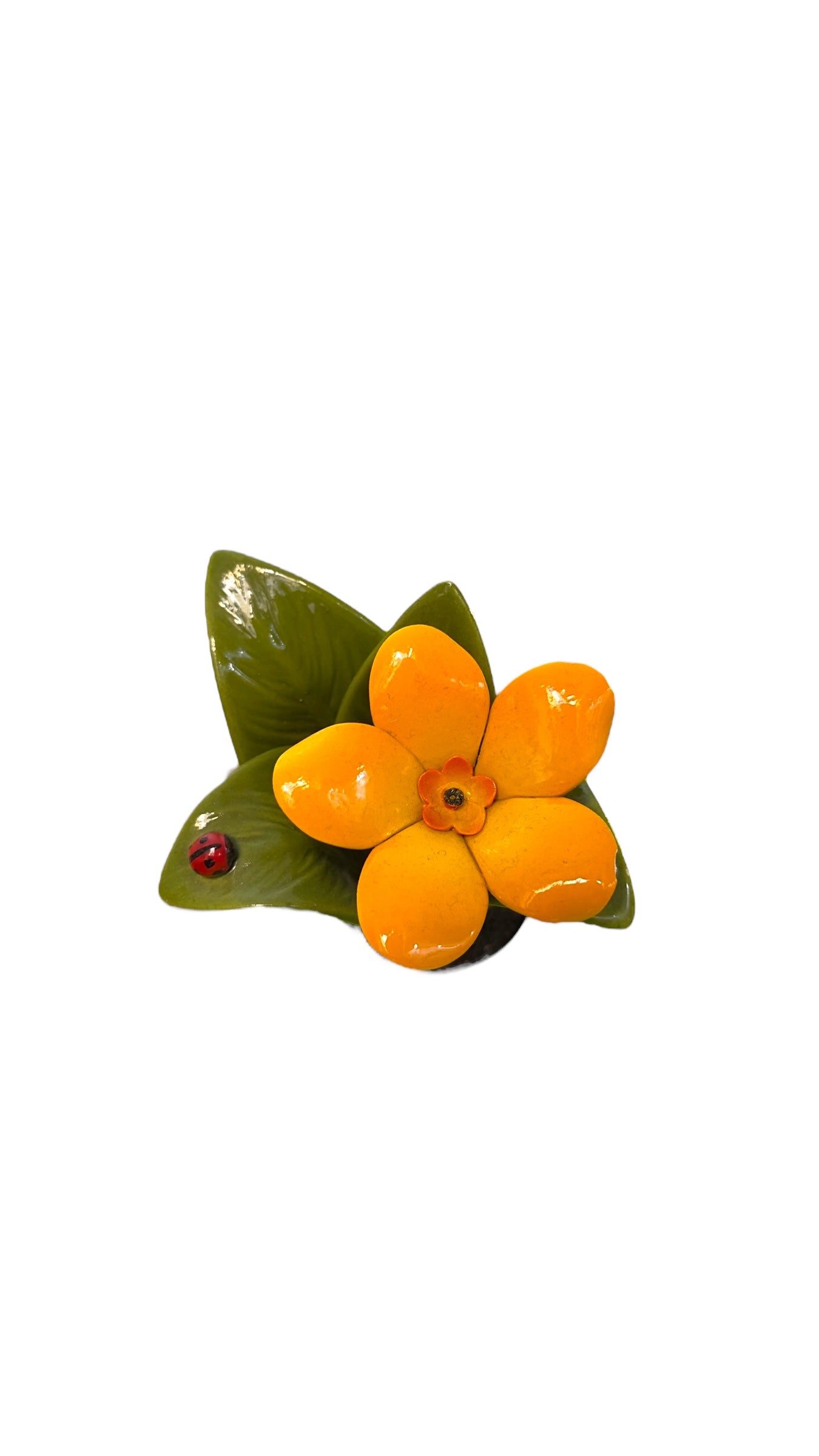 Pianta fiore arancio - Gli Alberelli Capodimonte Made in Italy