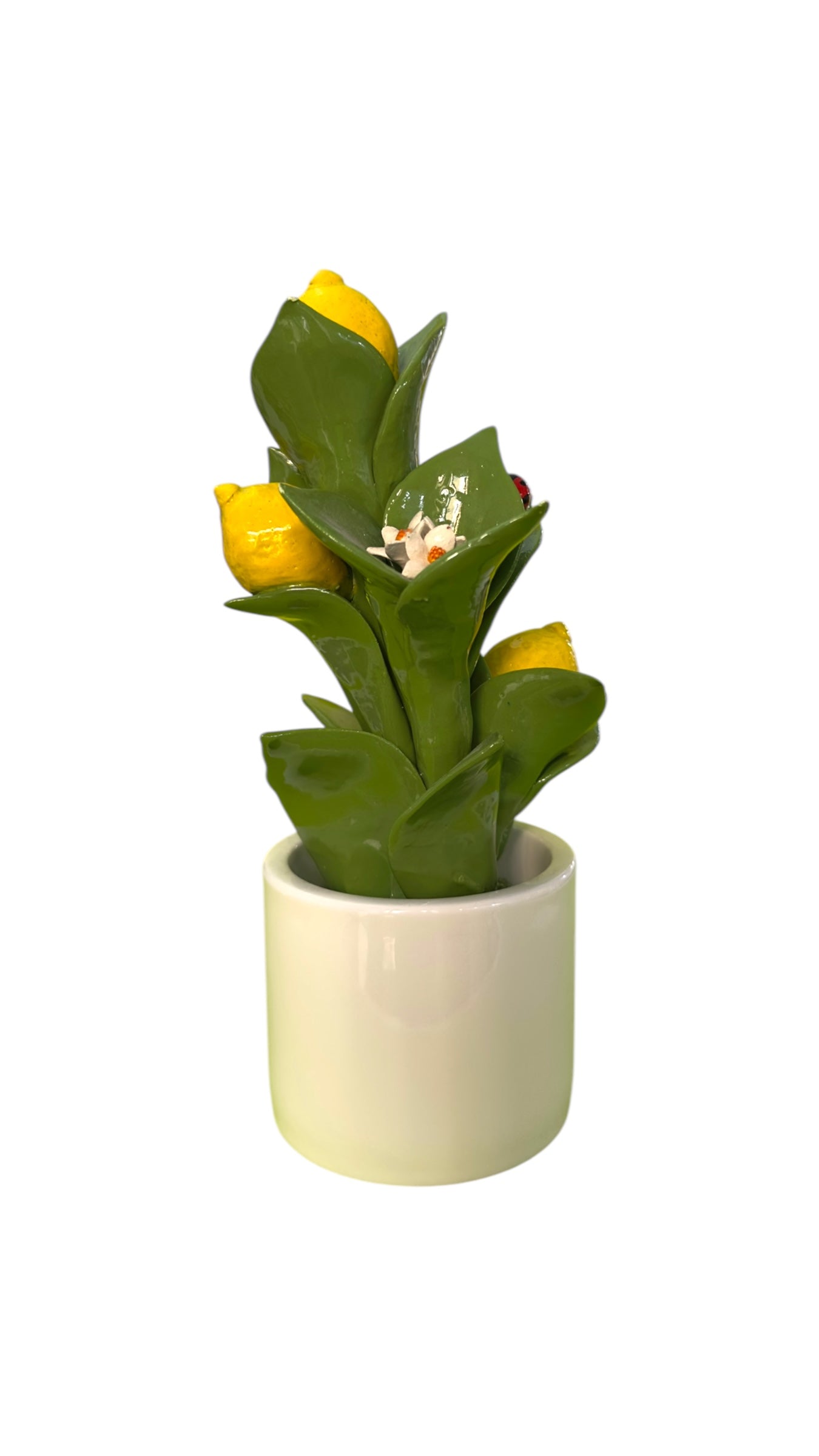 Pianta Limoni - Gli Alberelli Capodimonte Made in Italy