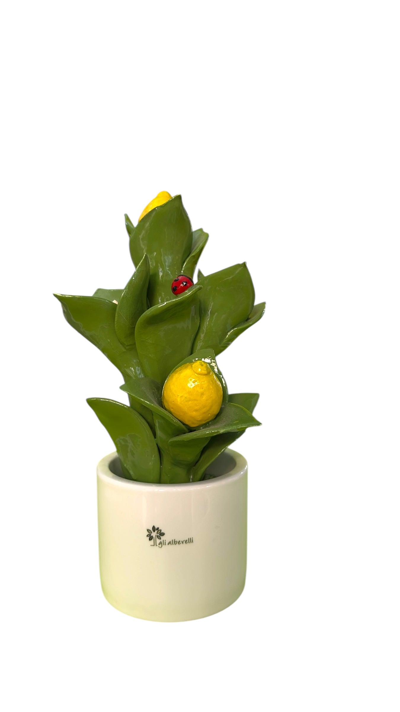 Pianta Limoni - Gli Alberelli Capodimonte Made in Italy