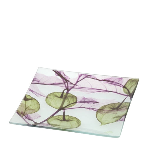 PIATTO VETRO ALKEKENGI VERDE 20X20CM SCATOLA REGALO