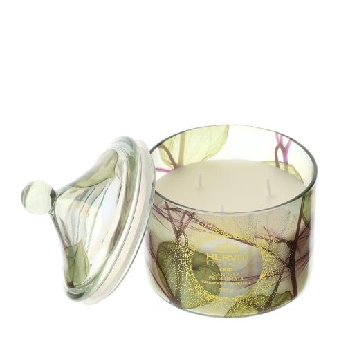 CANDELA ALKEKENGI DIA.9,5XH12CM 260G
 VETRO VERDE CANGIANTE C/COP.PROF.OUD SCAT.REG.